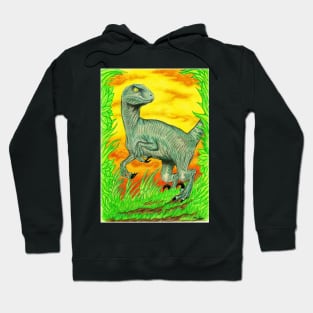 Raptor Hoodie